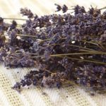 dried lavender 150x150 - Guayusa