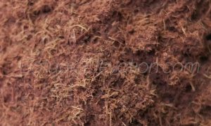 mimosa hostilis (MHRB) powdered root bark close-up 2